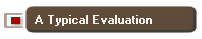 A Typical Evaluation