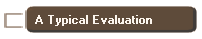 A Typical Evaluation