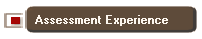 Assessment Experience