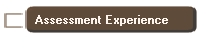 Assessment Experience