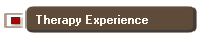 Therapy Experience